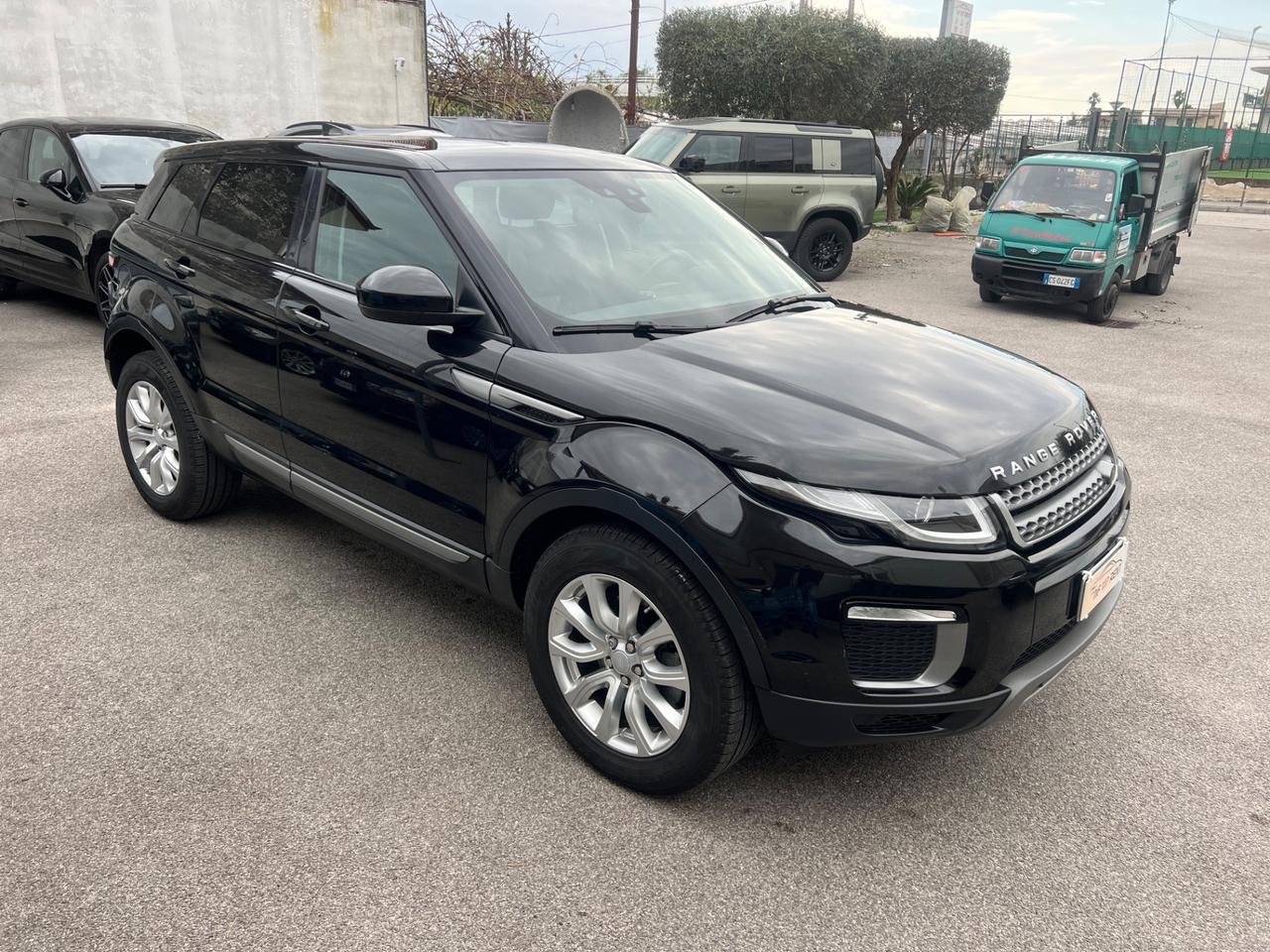 Land Rover Range Rover Evoque Range Rover Evoque 2.0 TD4 150 CV 5p. Pure