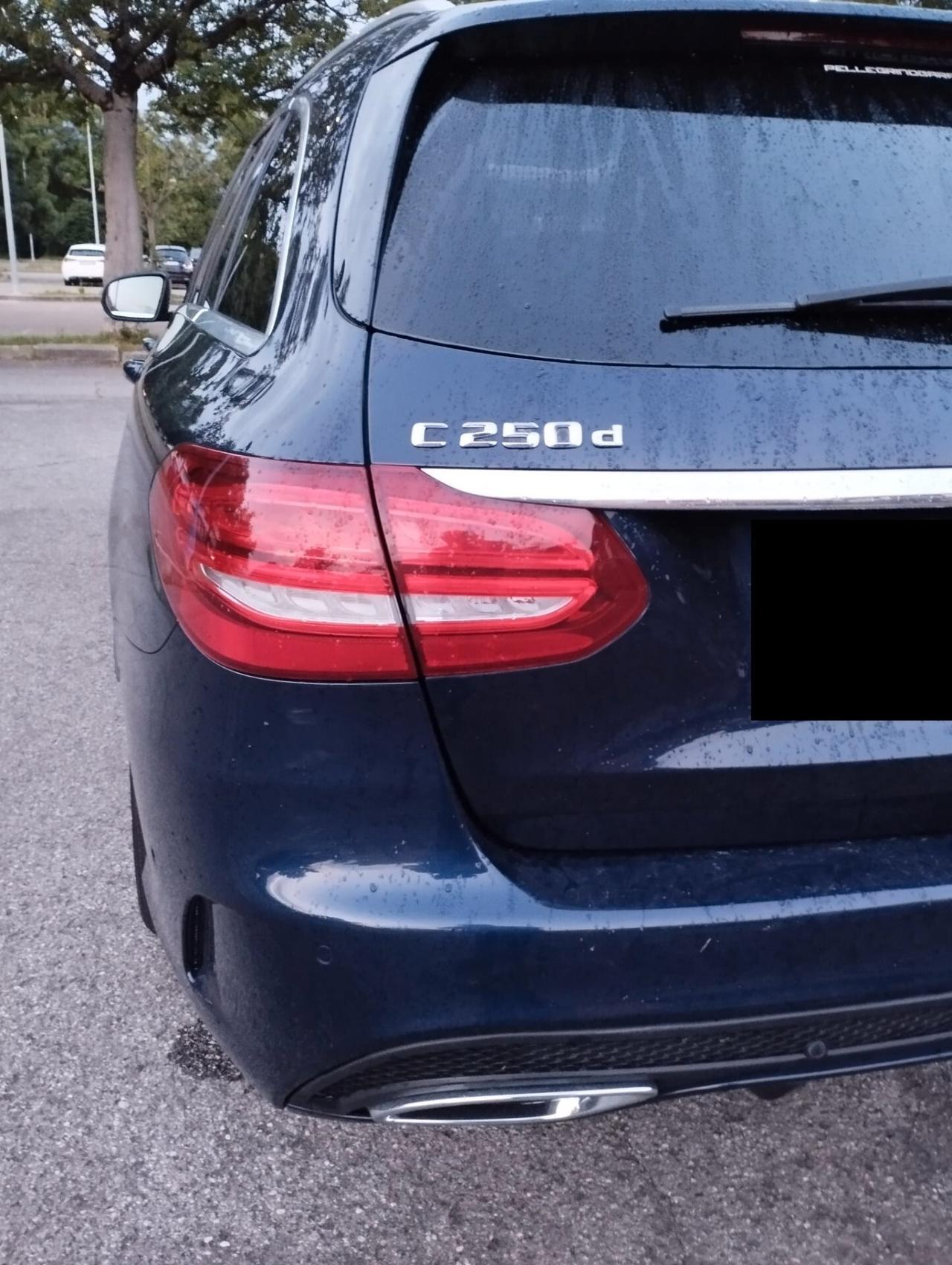 Mercedes-benz C 250 SW d Business 4matic auto