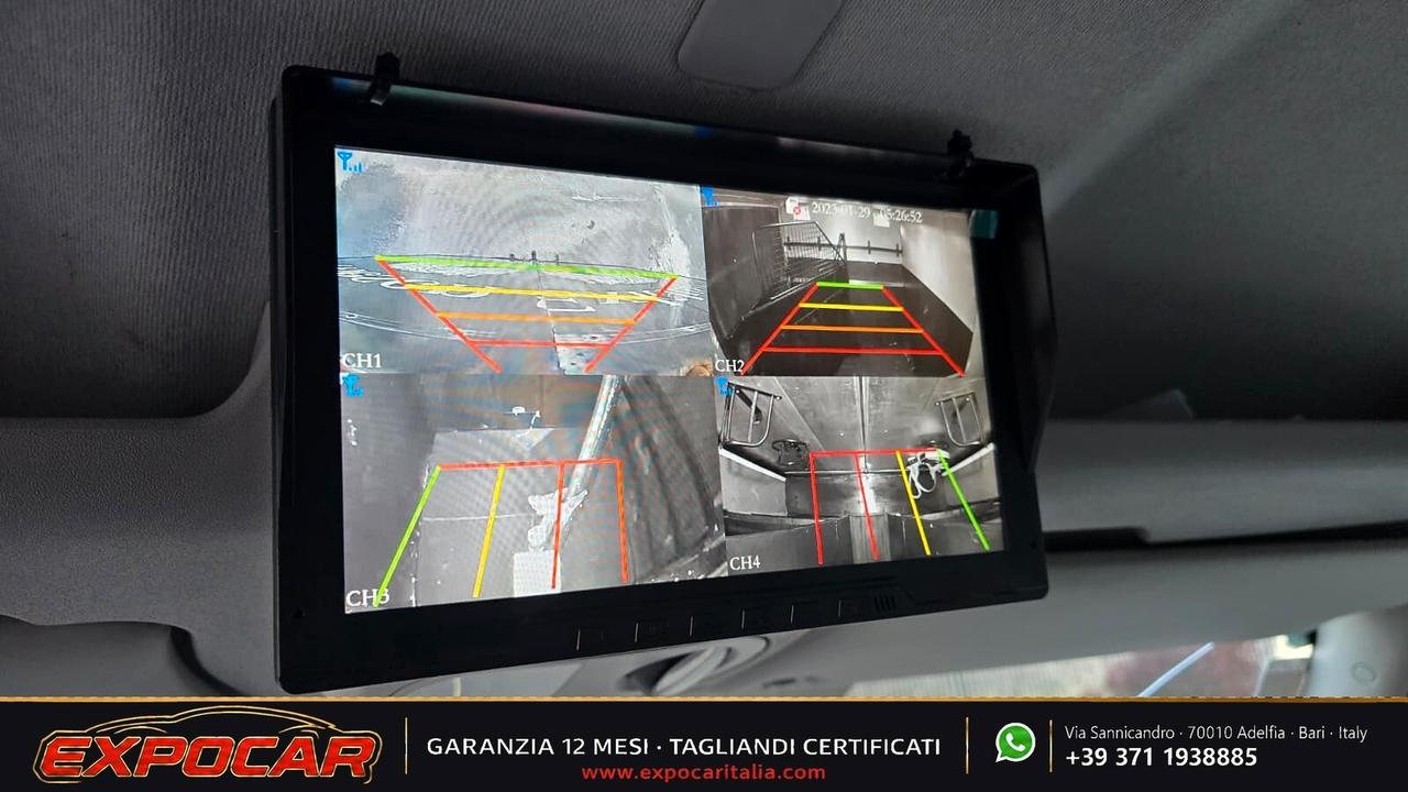 Iveco Daily - Trasporto Cavalli