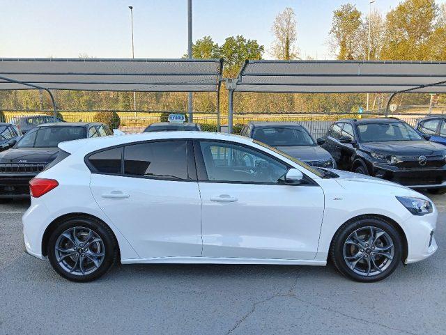 FORD Focus 1.5 EcoBlue 120 CV 5p. ST-Line