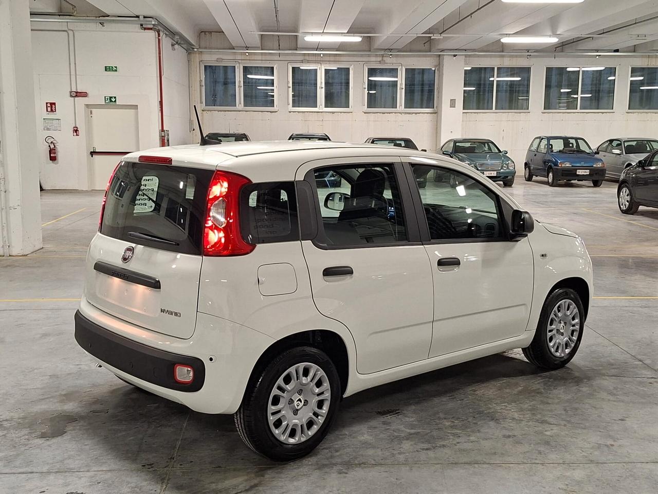 Fiat Panda 1.0 FireFly Hybrid 70CV Icon Km.0 (296)