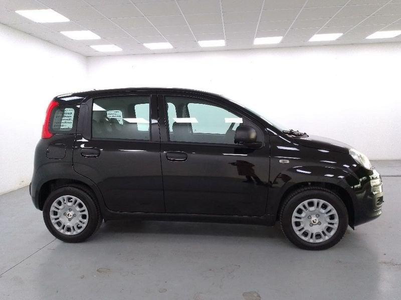 FIAT Pandina 1.0 firefly hybrid Icon s e s 70cv 5p.ti