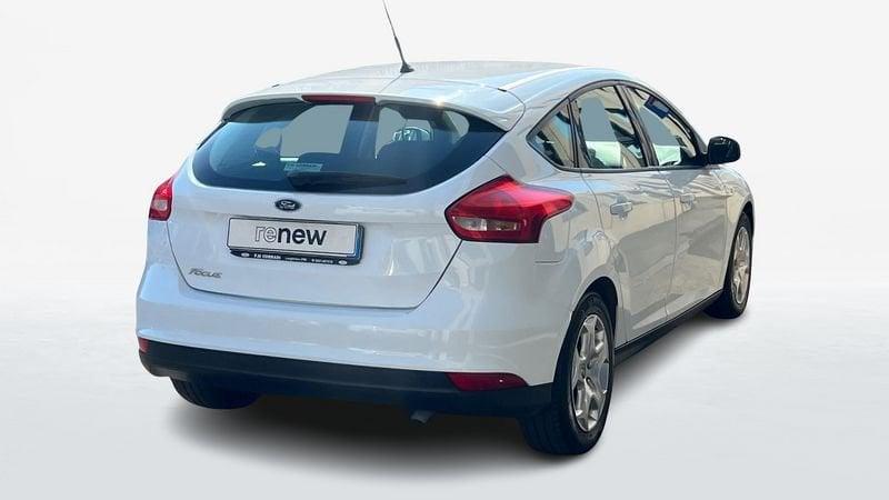 Ford Focus 5 Porte 1.6 120cv Plus