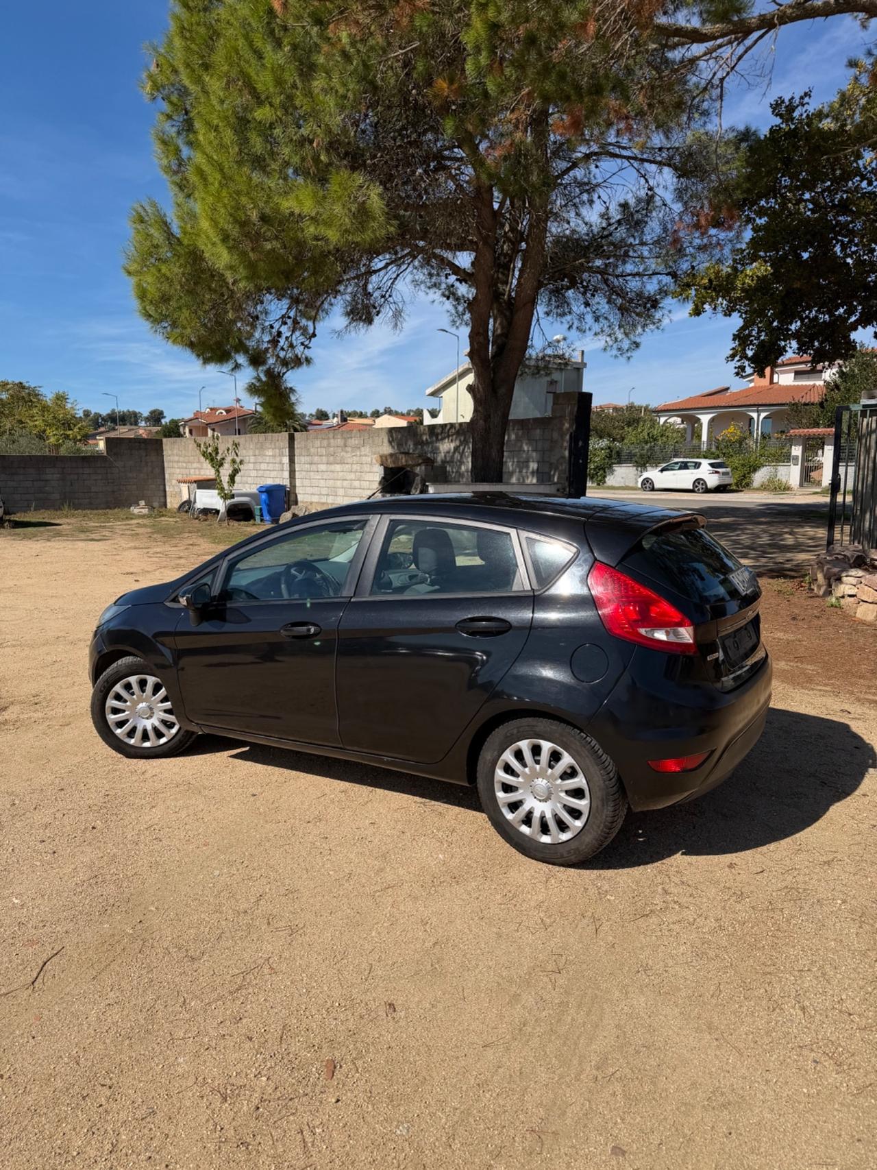 Ford Fiesta 1.4 TDCi 68CV 5 porte Titanium