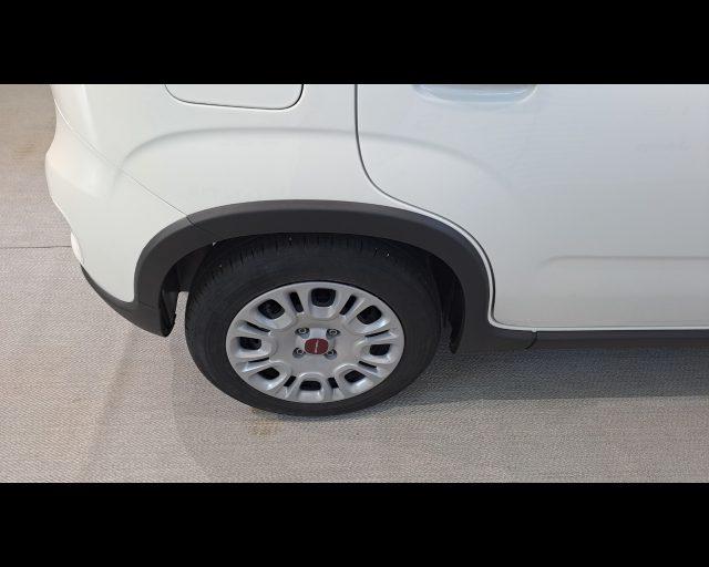 FIAT New Panda 1.0 firefly hybrid s&s 70cv 5p.ti