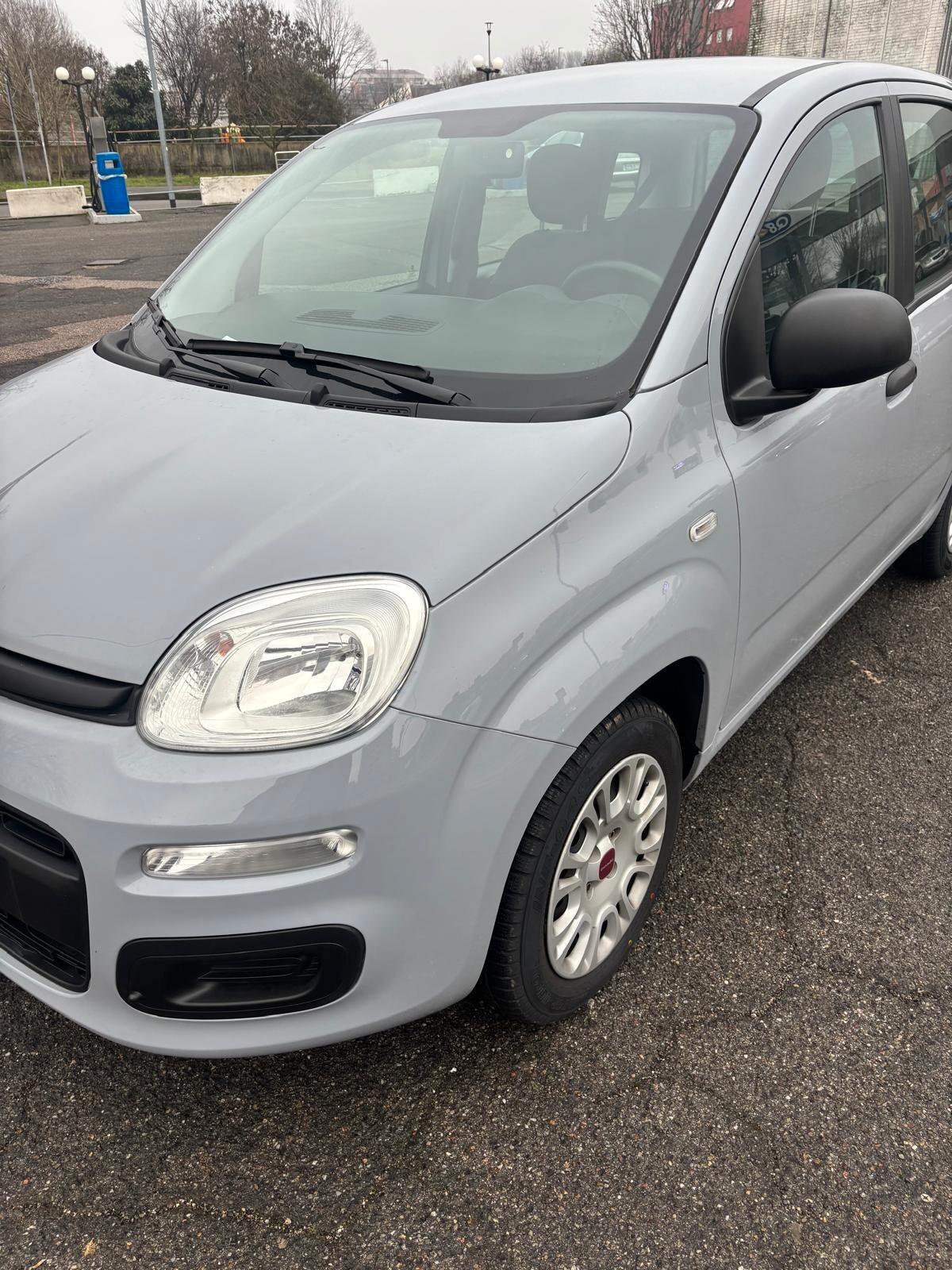 Fiat Panda 1.2 Easy