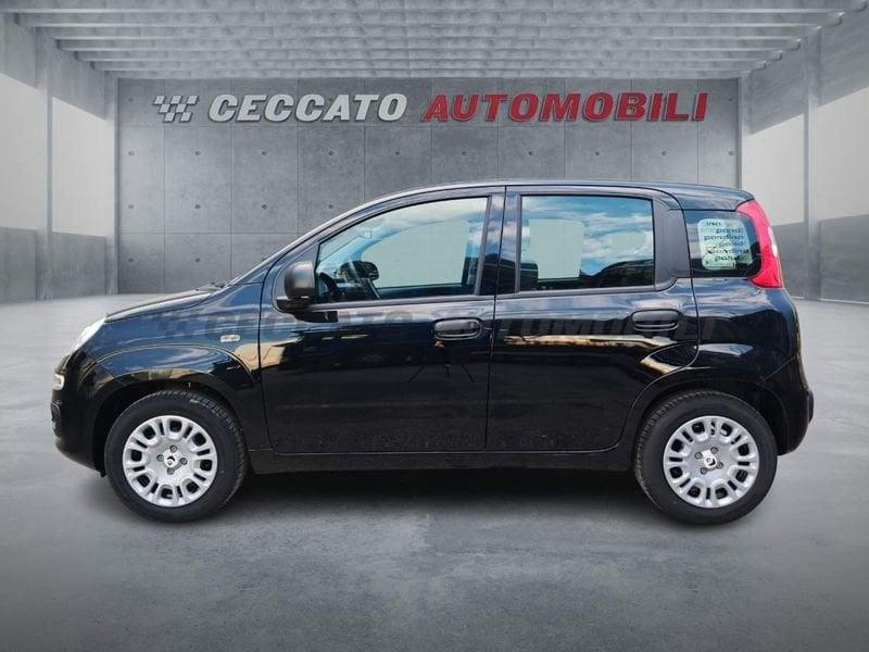 FIAT Panda Panda 1.0 70cv Hybrid Icon
