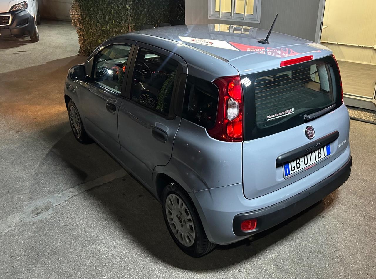 Fiat Panda 1.0 69CV BENZ-Hybrid 2020nuova garanzia