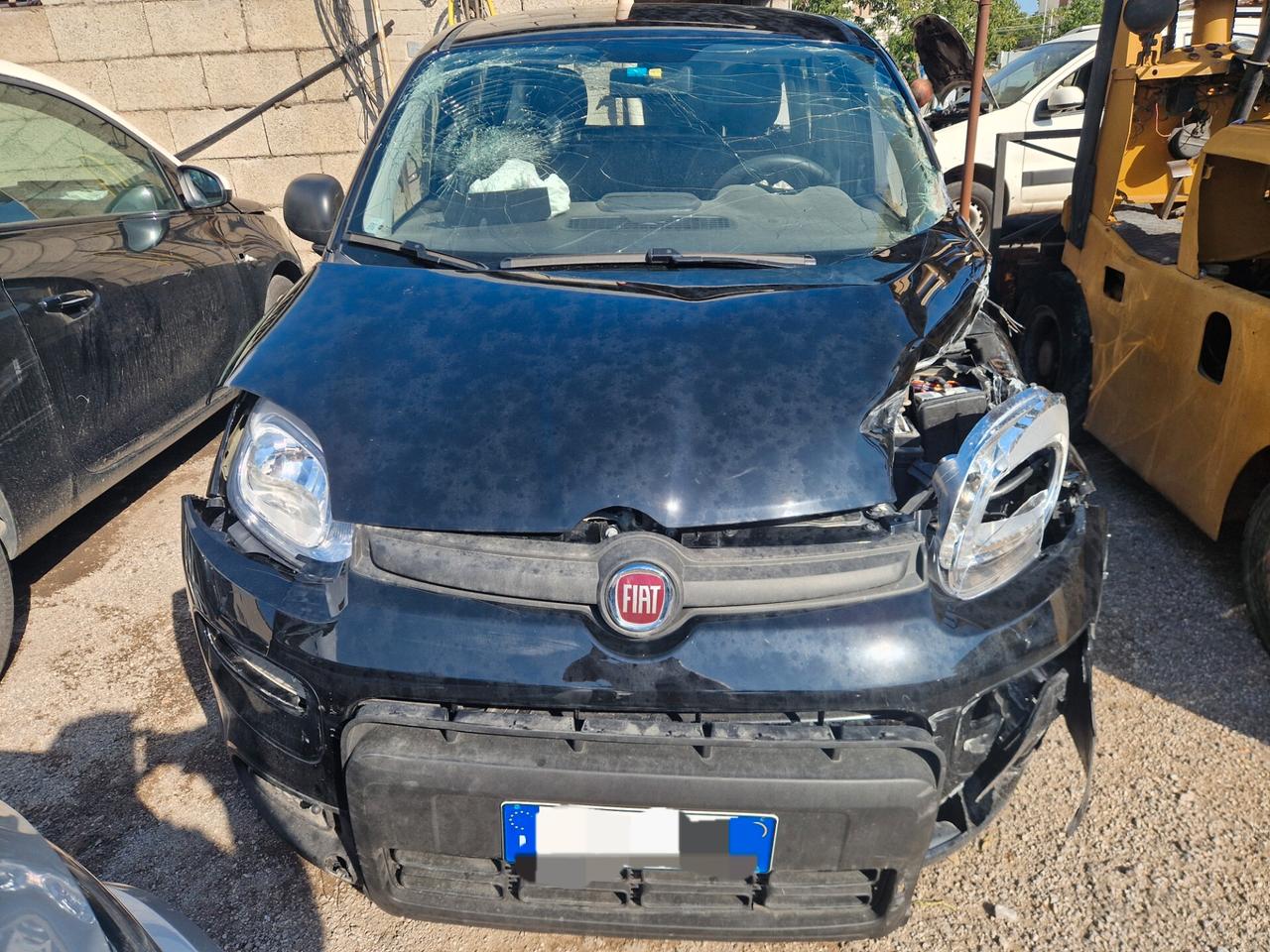 Fiat Panda 1.0 FireFly S&S Hybrid 9000km-2024