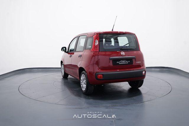 FIAT New Panda My25 1.0 FireFly S&S Hybrid