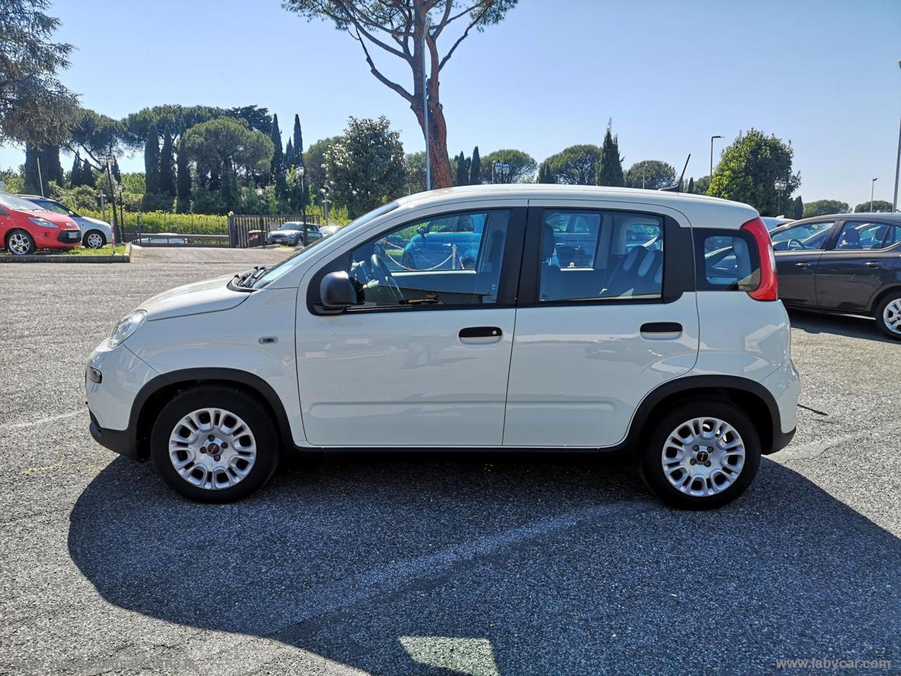FIAT Panda 1.0 FireFly S&S Hybrid City Life IVA DEDUC. PROMO WEB
