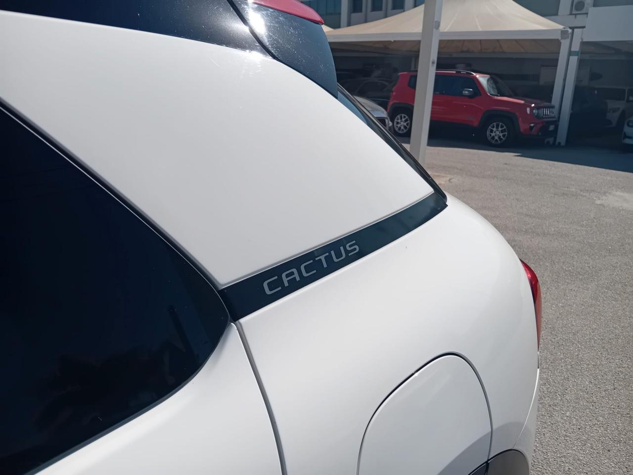 Citroen C4 Cactus BlueHDi 100 S&S Feel