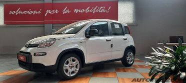 FIAT Panda Panda 1.0 FireFly S&S Hybrid Pop PANDINA DA € 9950 ANCHE A FEBBRAIO!!
