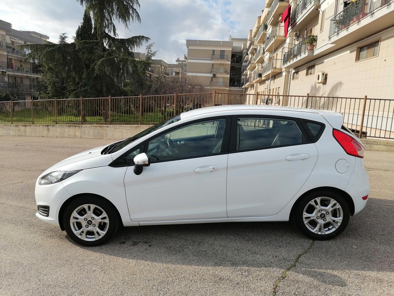 Ford Fiesta 1.5 TDCi 75CV 5 porte Titanium 2014