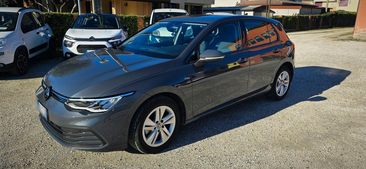 Volkswagen Golf eTSI EVO DSG - 2020