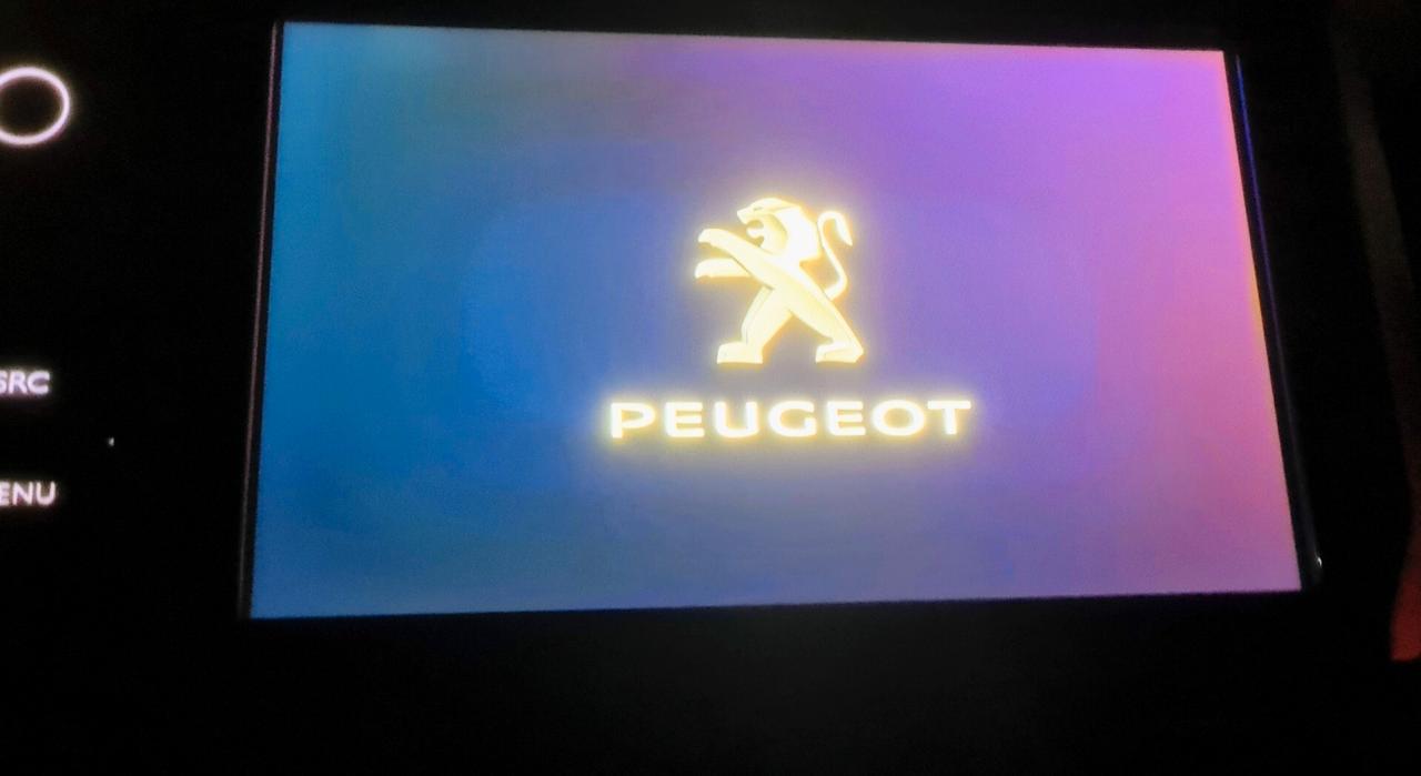 Peugeot 208 BlueHDi *TAGLIANDI con FATTURE*75 5 porte Allure