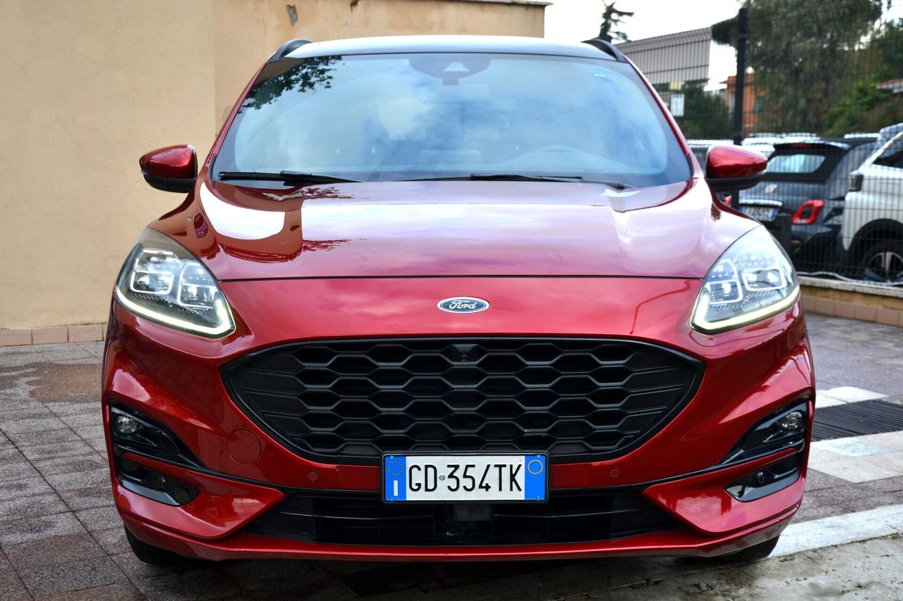 Ford Kuga 2.0 190CV AWD ST-LINE X AUTO. *TETTO*PREZZO REALE*