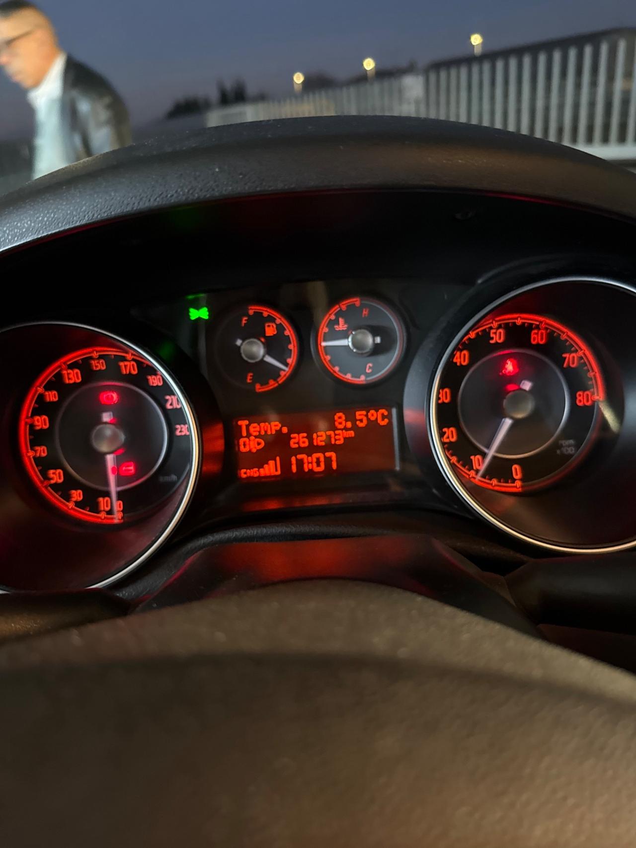 Fiat Punto 1.4 8V 5 porte Natural Power Lounge