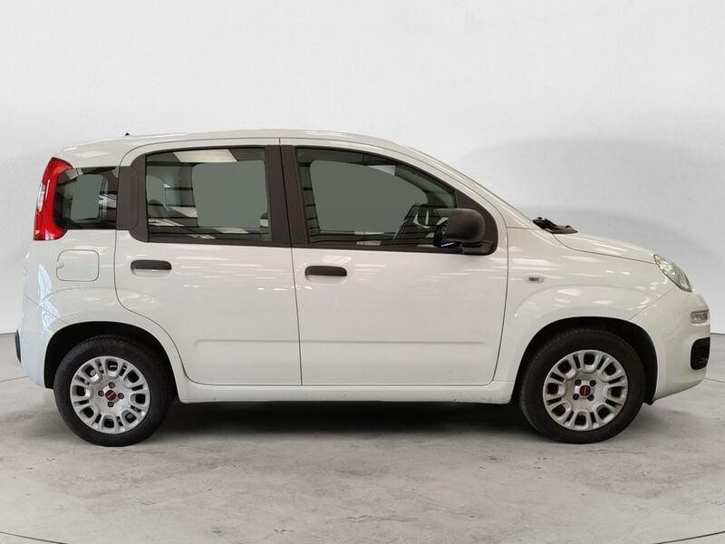 FIAT Panda Panda 1.2 Pop