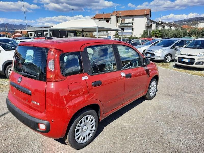 FIAT Pandina PANDA MY26 1.0 65CV HYBRID ICON