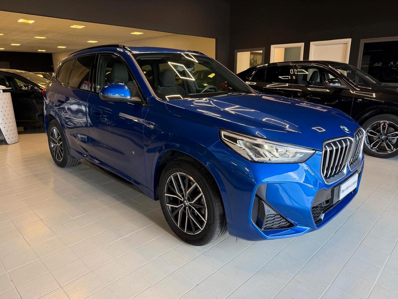 BMW X1 (U11) X1 xDrive 20d Msport