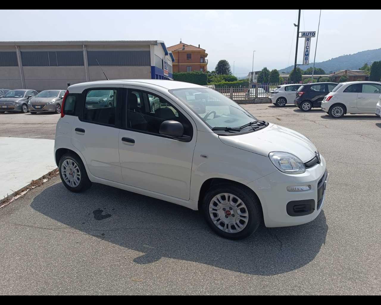 FIAT Panda III 2021 - Panda 1.0 firefly hybrid s&s 70cv