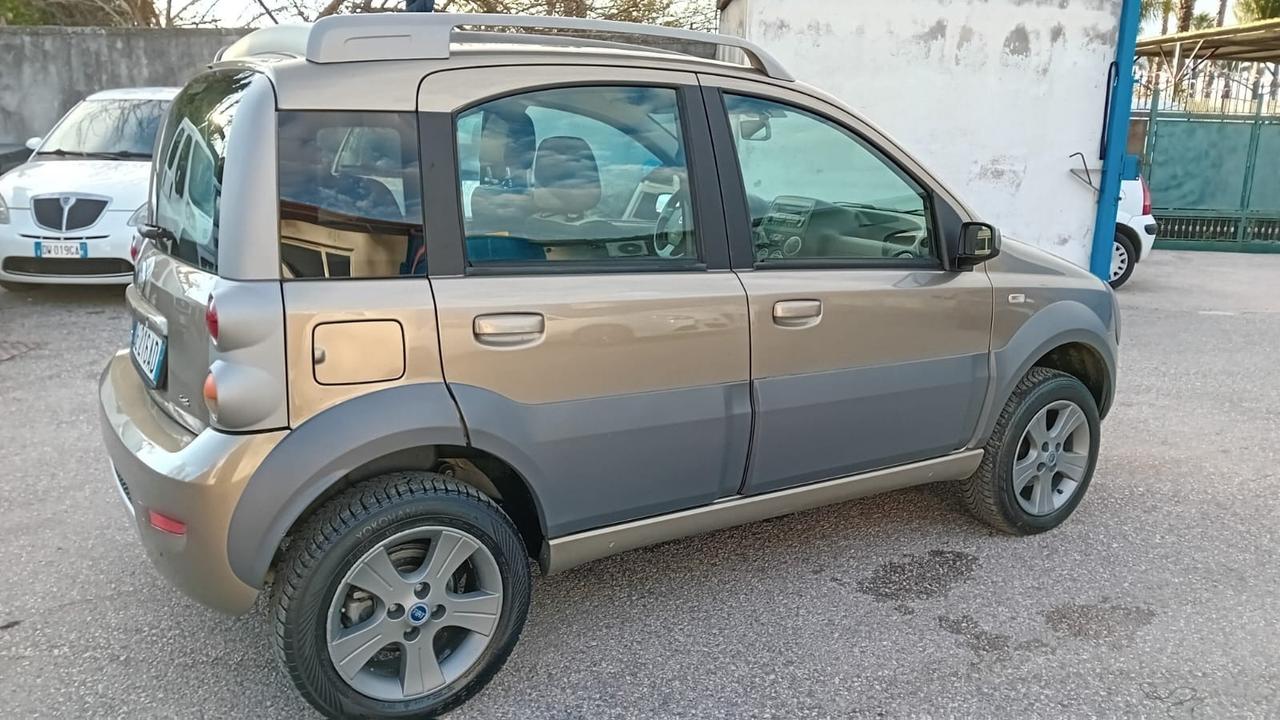 Fiat Panda cross 4 × 4-1.3 mjt-2007