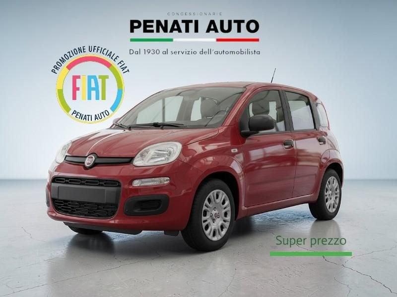 FIAT Panda SOLO A MARZO ANCHE SENZA ROTTAMAZIONE!!!!!