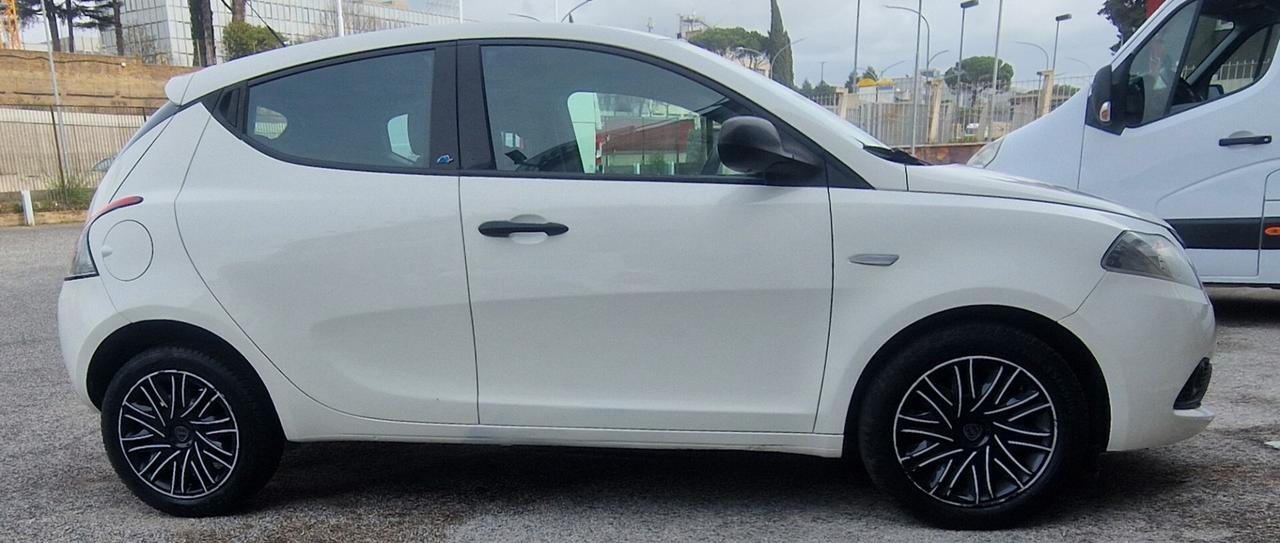 Lancia Ypsilon 1.2 69 CV 5 porte GPL Ecochic Platinum