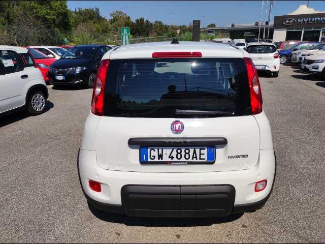 FIAT Panda 1.0 firefly hybrid s&s 70cv