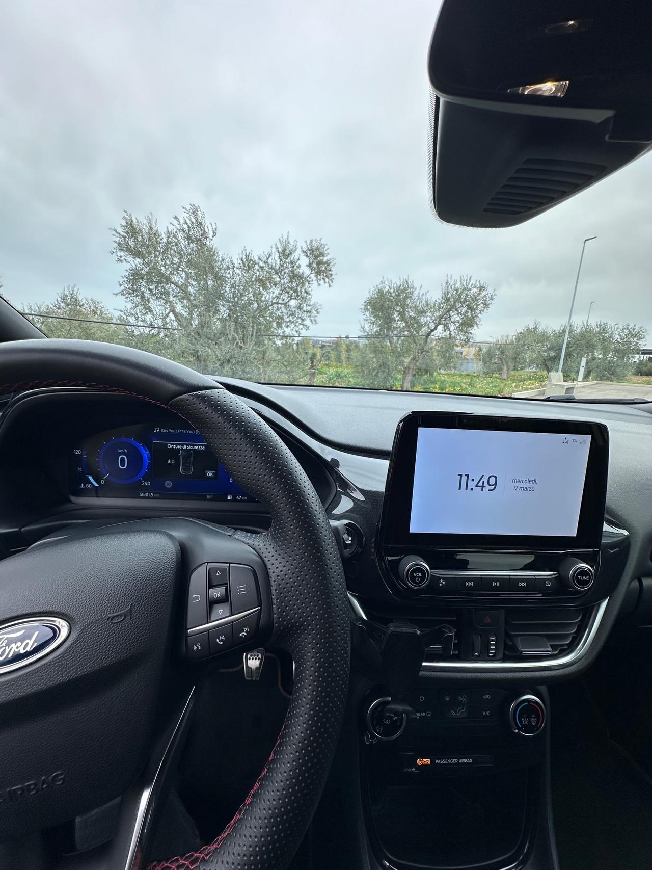 Ford Puma 1.0 EcoBoost Hybrid 125 CV S&S ST-Line