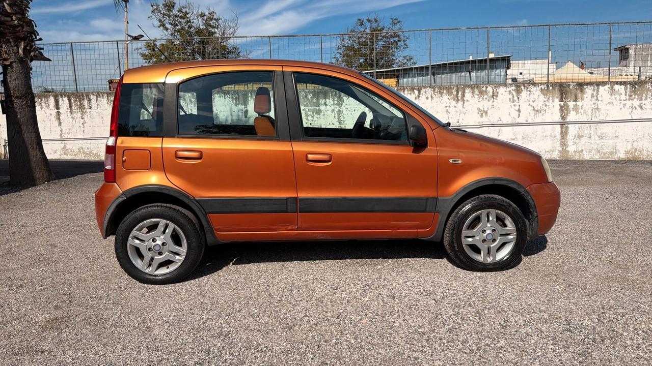 Fiat Panda 1.2 Climbing Natural Power