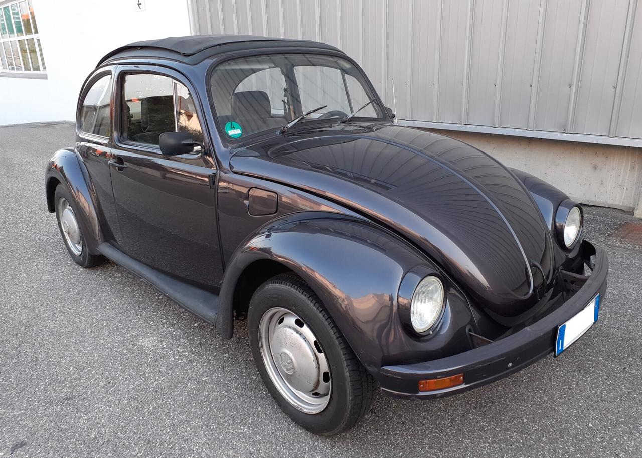 Volkswagen Passat Maggiolino