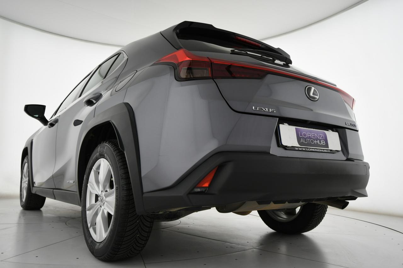 LEXUS UX 250h 2.0 F-Sport 2wd cvt CAMERA+ACC+C17"
