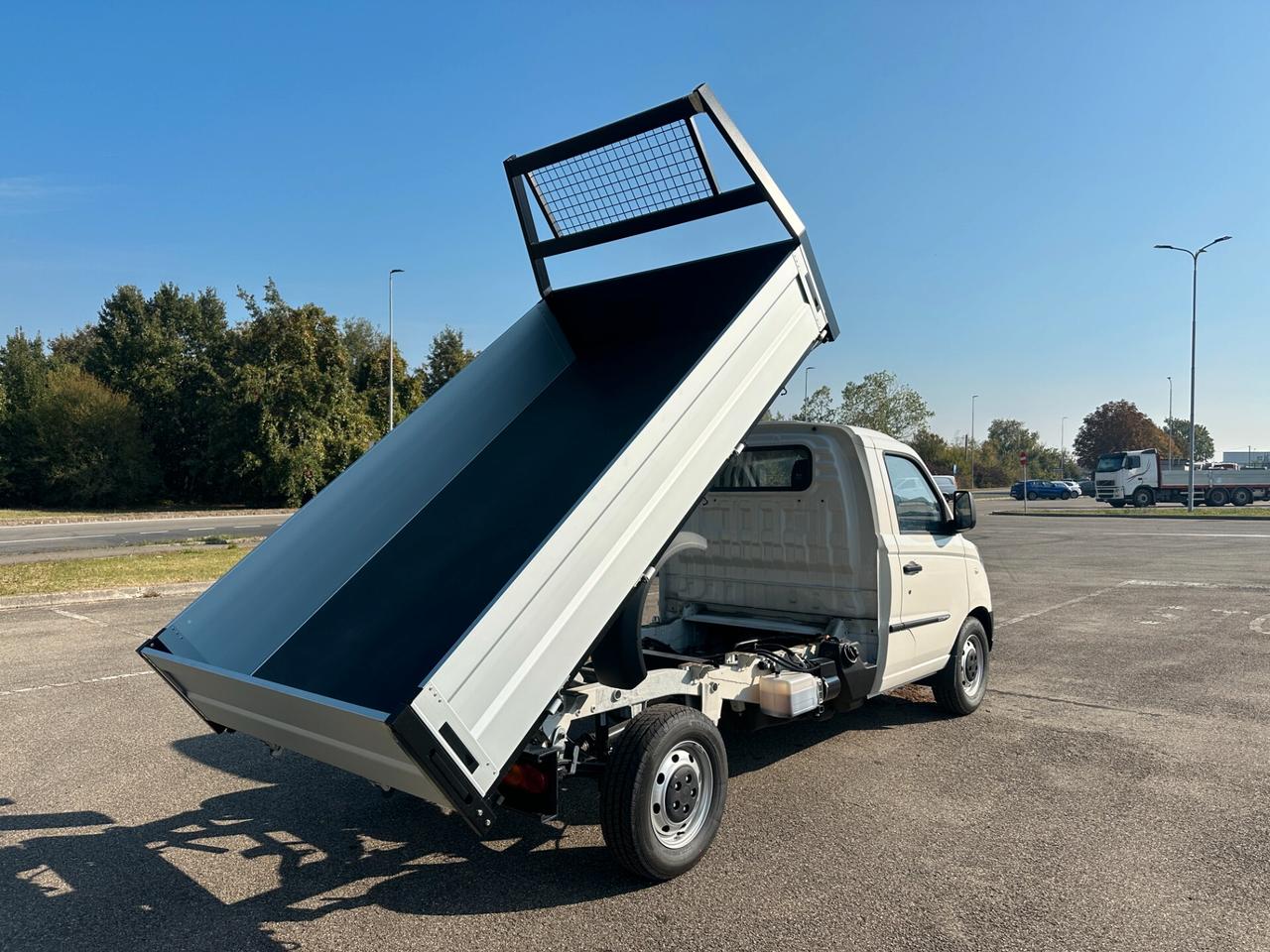 Piaggio Porter NP6 1.5 Long Range LPG Cassone Ribaltabile