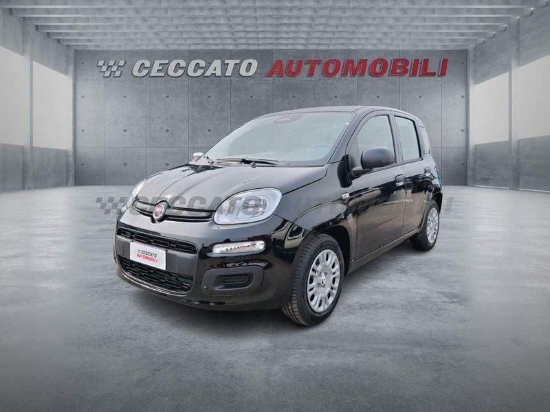 FIAT Panda Panda 1.0 firefly hybrid s&s 70cv