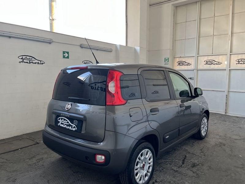 FIAT Panda Panda 1.2 Easy tua 110,00 al mese