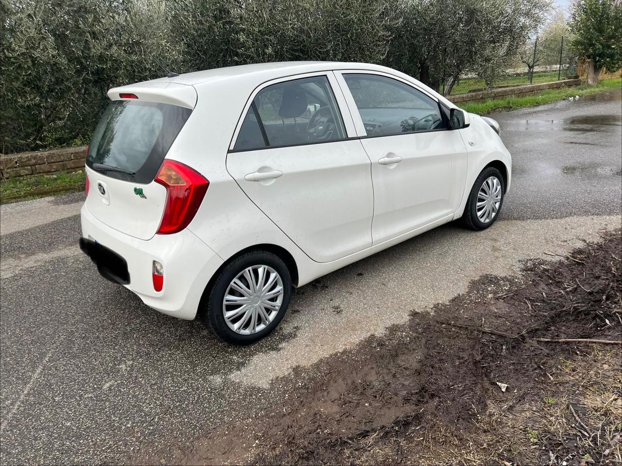 Kia Picanto 1.0 12V EcoGPL 5 porte City