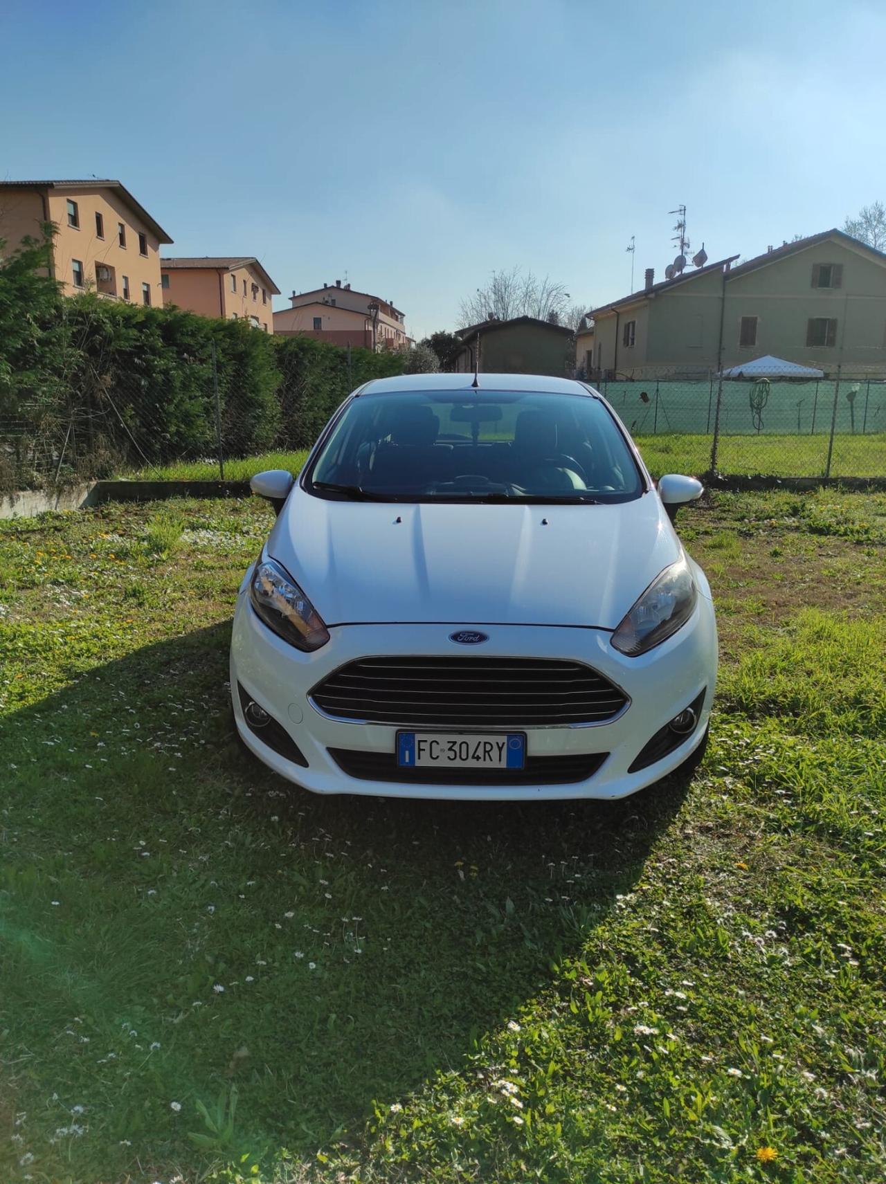Ford Fiesta 1.4 5 porte Bz.- GPL Black & White Edition