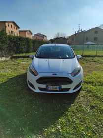 Ford Fiesta 1.4 5 porte Bz.- GPL Black & White Edition