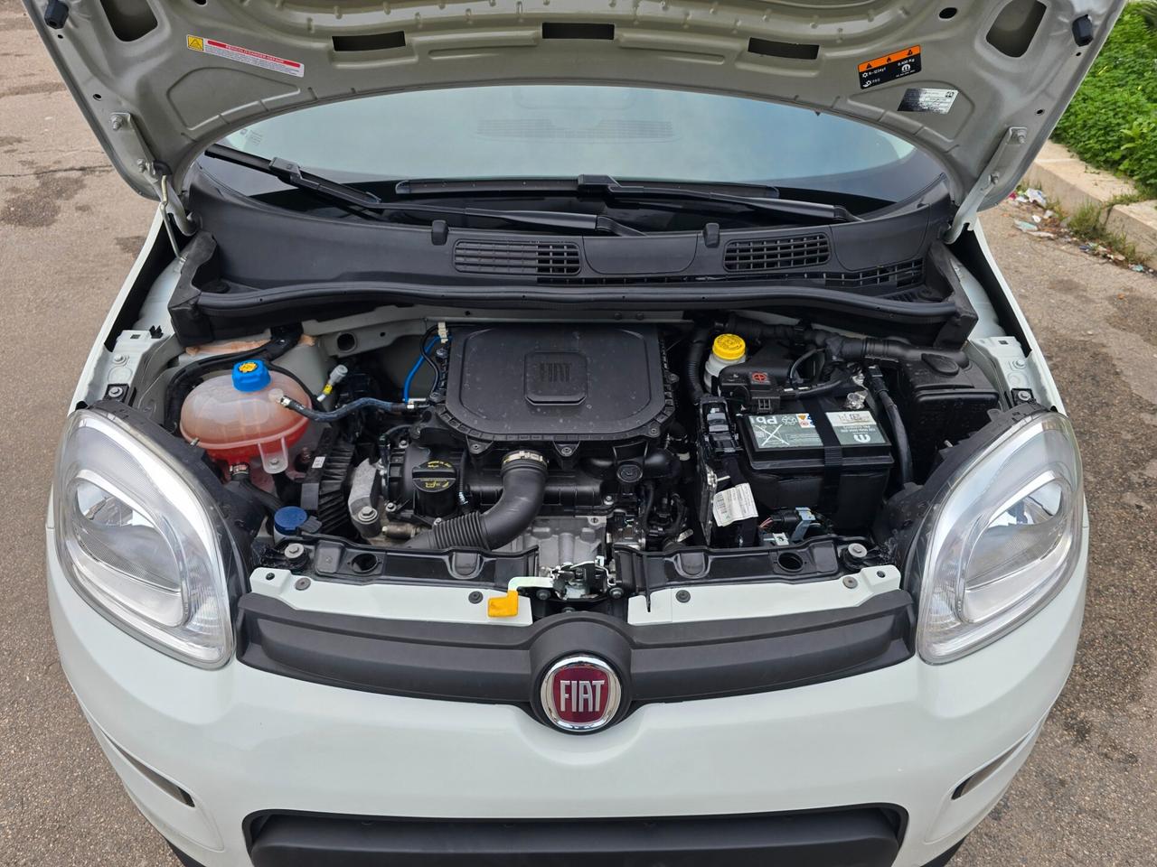 Fiat Panda 1.0 FireFly Hybrid
