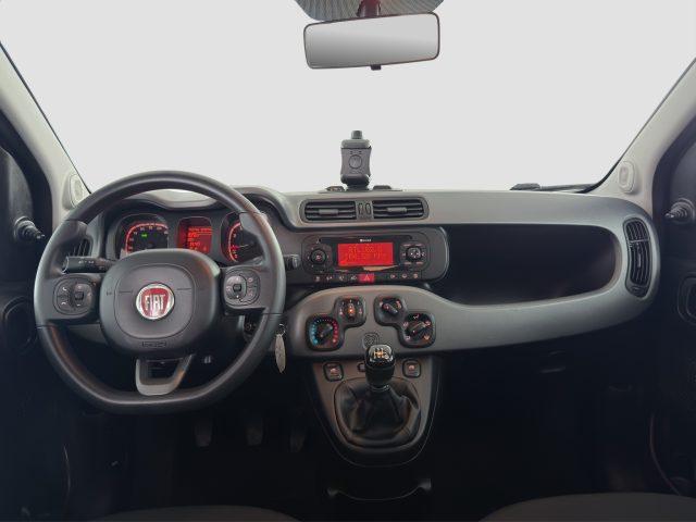 FIAT Panda Panda 1.0 FireFly Hybrid City Life