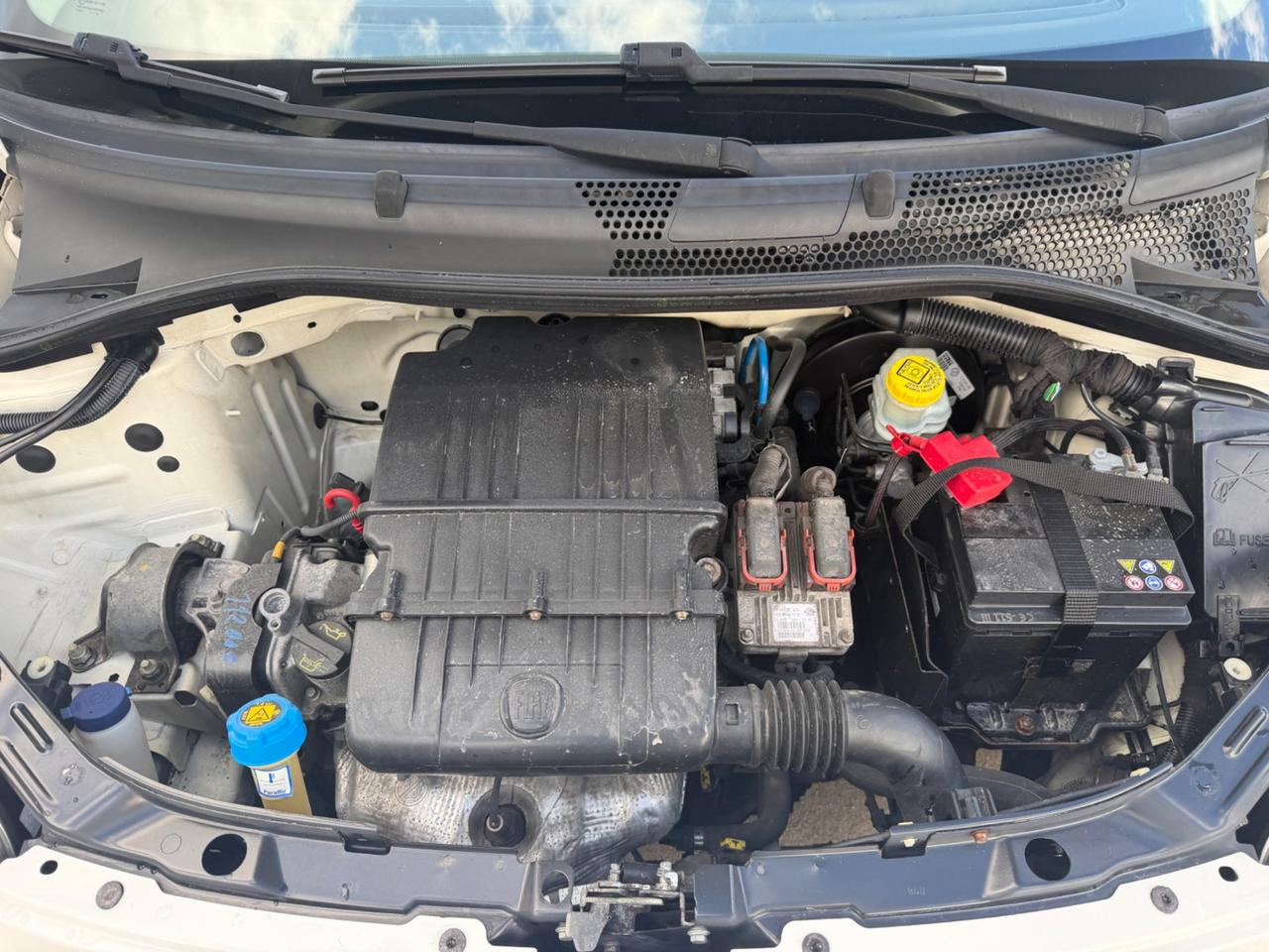 Fiat 500 1.2 Benz 69CV Pop DA AMATORE