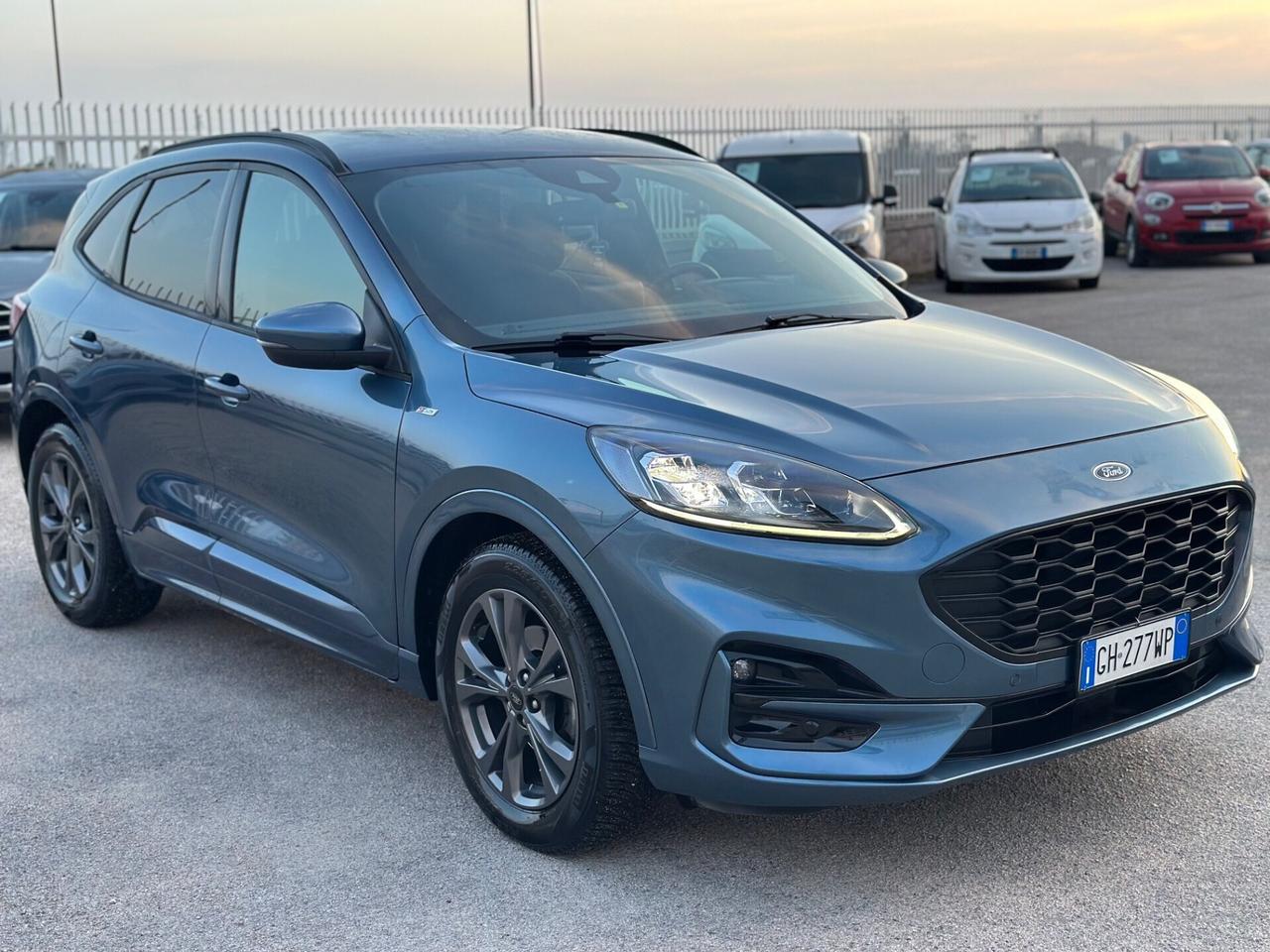 Ford Kuga 2022 1.5 EcoBlue 120 CV aut. 2WD ST-Line