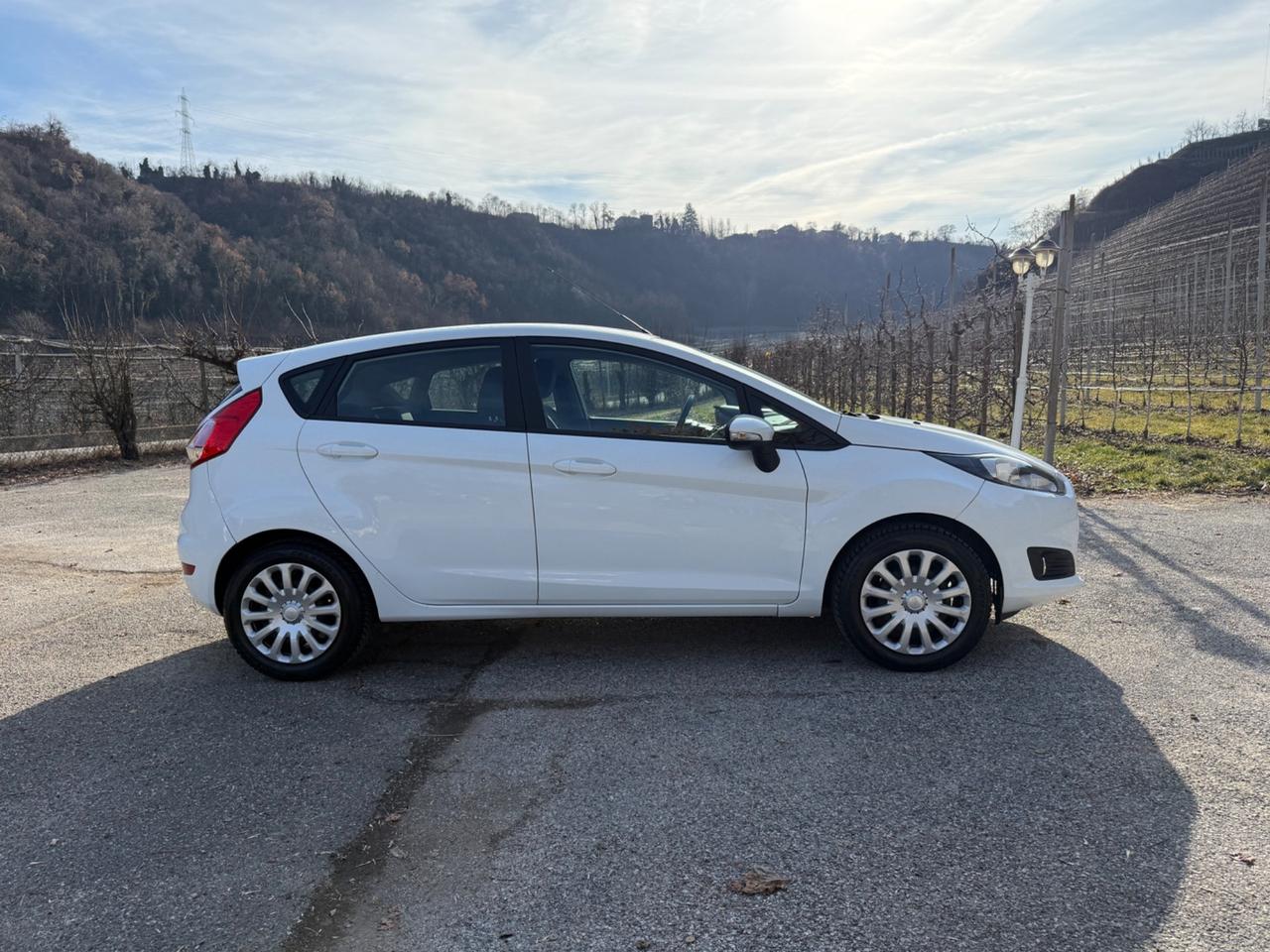 Ford Fiesta 1.2 60CV 5 porte Titanium