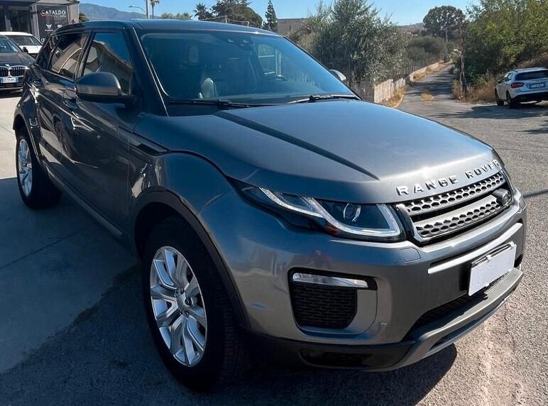 Land Rover Range Rover Evoque Range Rover Evoque 2.0 TD4 150 CV 5p. Business Edition Pure