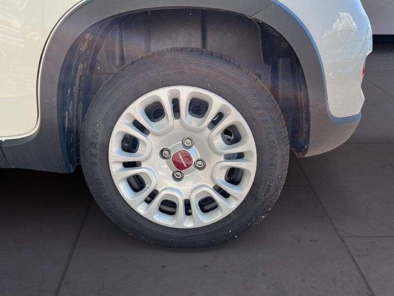 FIAT Panda My23 1.0 70cv Hybrid Panda