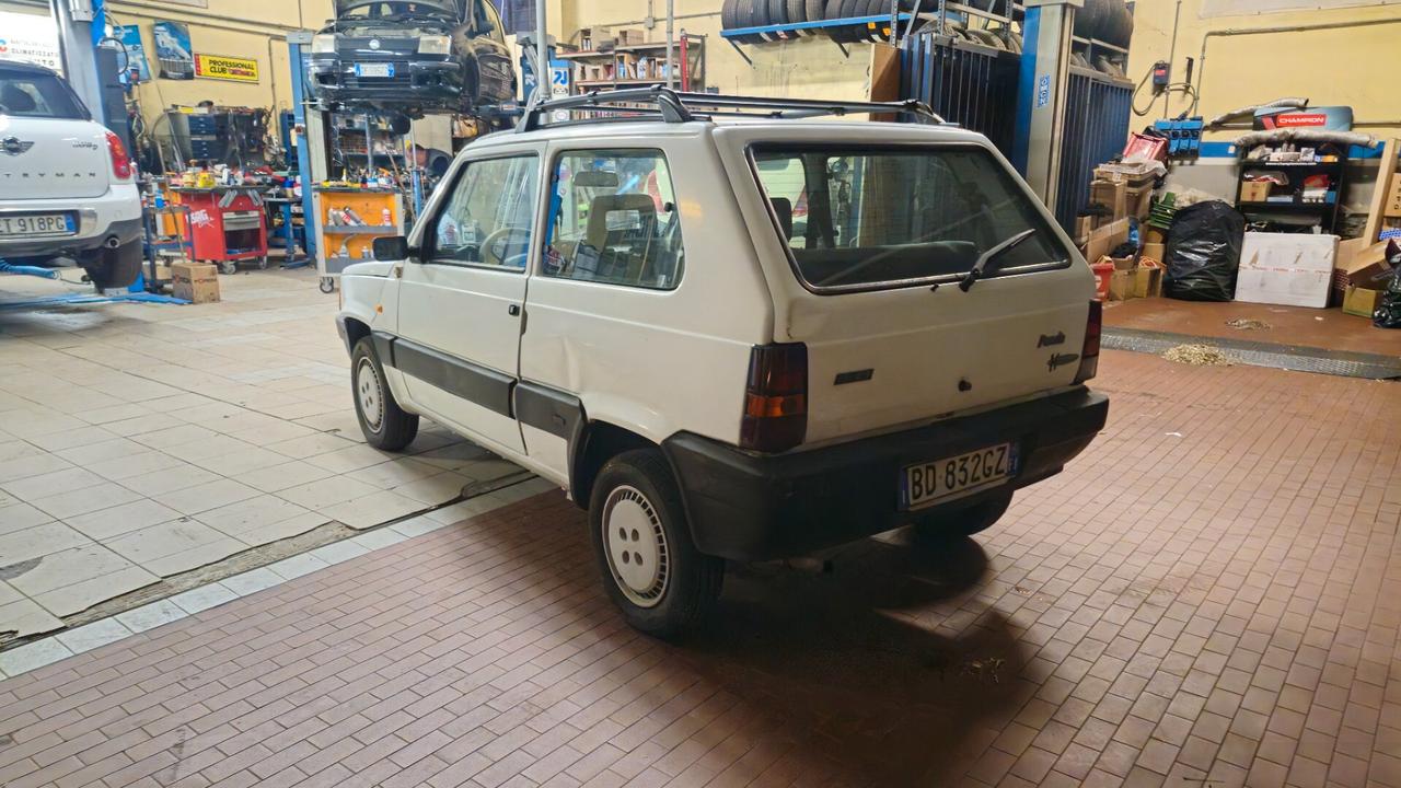 Fiat Panda 900 i.e. cat Young