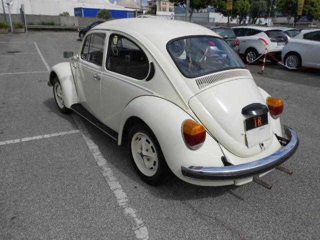 Volkswagen Maggiolino