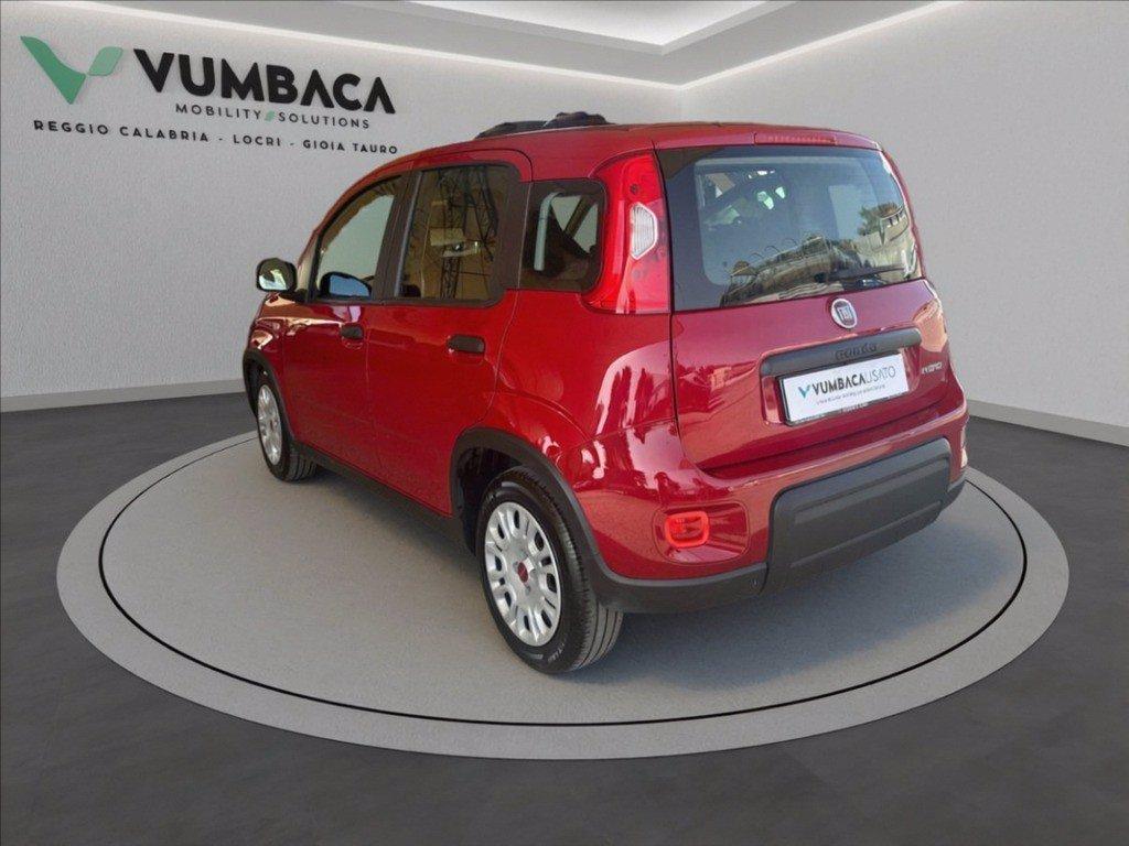 FIAT Pandina 1.0 firefly hybrid Icon s&s 70cv del 2024